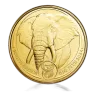 1oz Gold South African Elephant Big Five Series (2024)