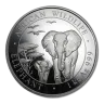 1 Kilo Somalia Elephant
