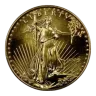 1995 1 oz American Gold Eagle Coin