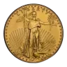 2001 1 oz American Gold Eagle Coin