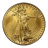 2007 1 oz American Gold Eagle Coin