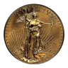 1996 1 oz American Gold Eagle Coin BU