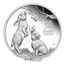 1/2 oz 99.9% Silver Lunar Rabbit Coin 2023