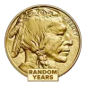 1 Oz American Gold Buffalo (Random Date)