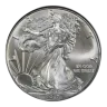 1 oz American Silver Eagle Silver Coin