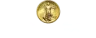 Camino Coin Company logo